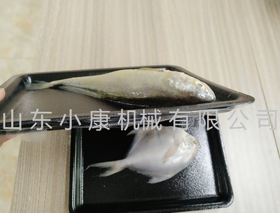 連續(xù)貼體包裝機(jī) 自動(dòng)切割貼體包裝機(jī)廠家包郵